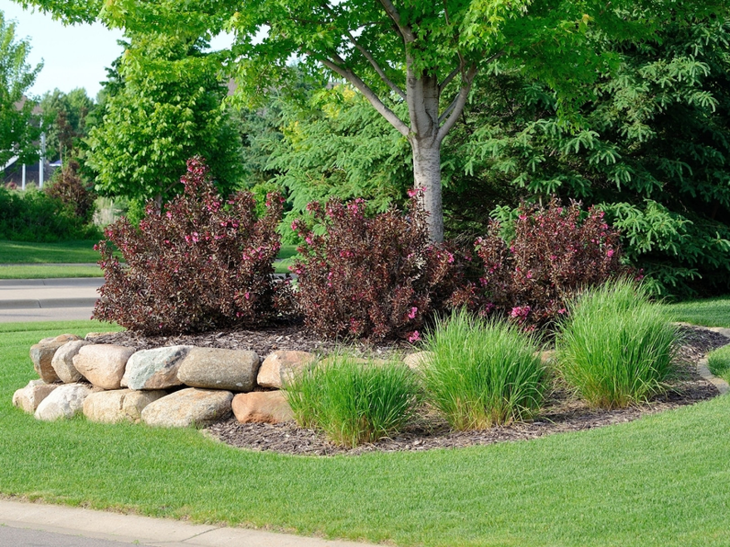 Tree and Shrub Care: Monmouth & Ocean County, NJ: Extreme Green ...